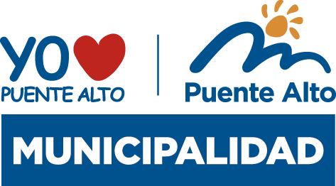 Análisis de perfiles de cargo Programa de Reinserción Socioeducativa “Casas de Estudio” | Municipalidad de Puente Alto